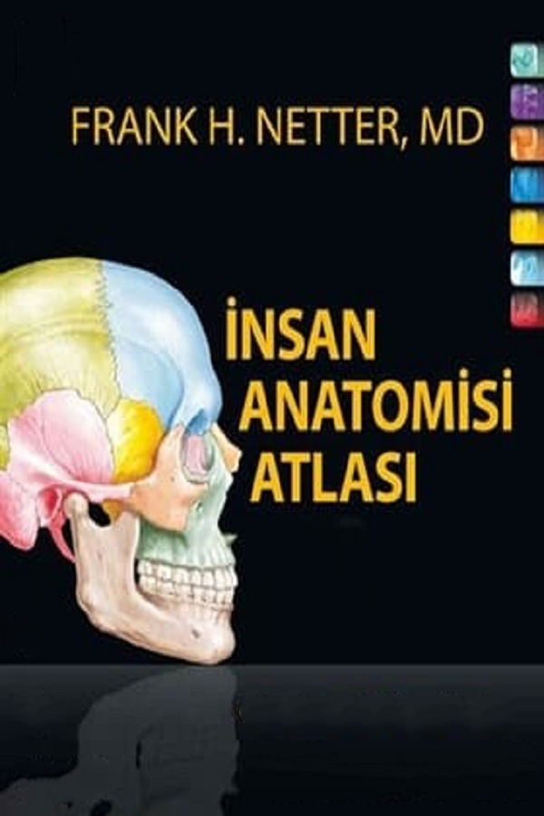 İnsan Anatomisi Atlası – Frank H. Güzel